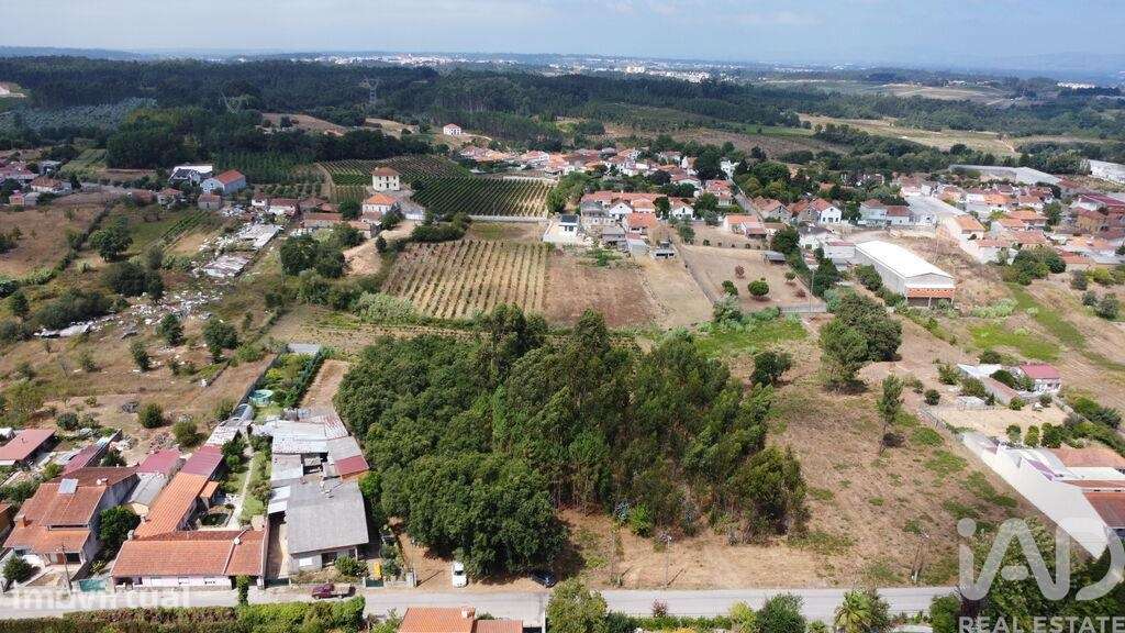 Terreno em Sangalhos - Grande imagem: 4/12