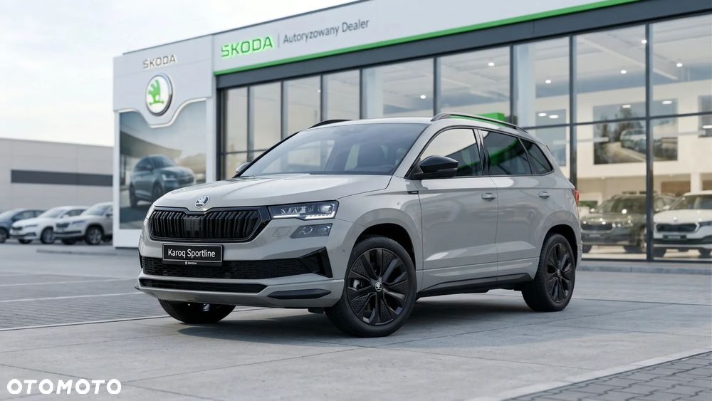 Skoda Karoq - 3