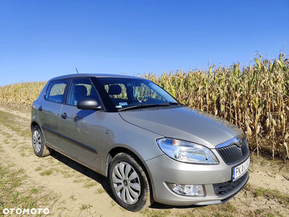 Skoda Fabia 2011 photo 2