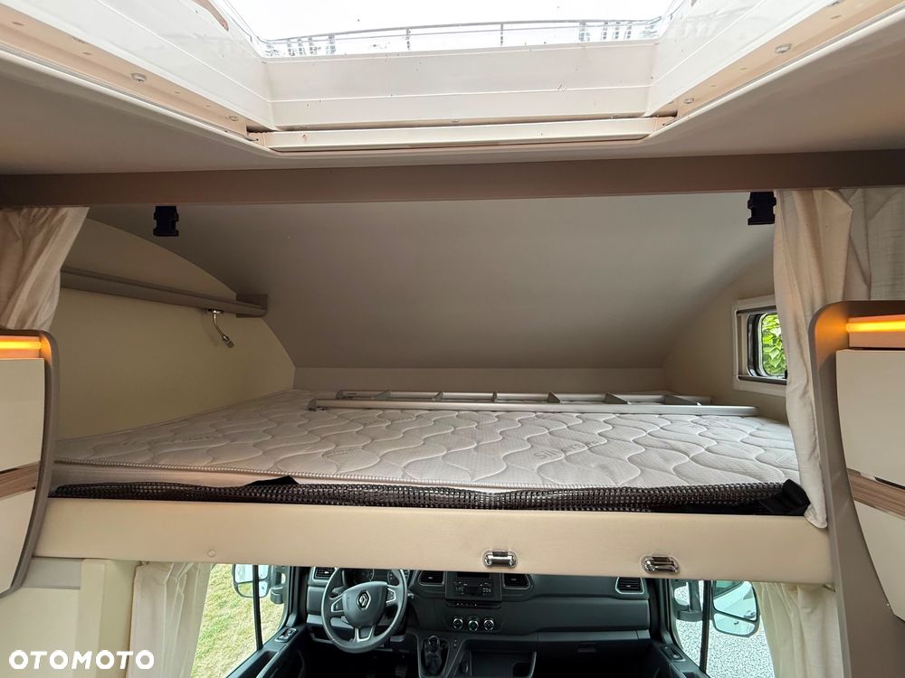 Renault Ahorn Camo 595 2024r - 26