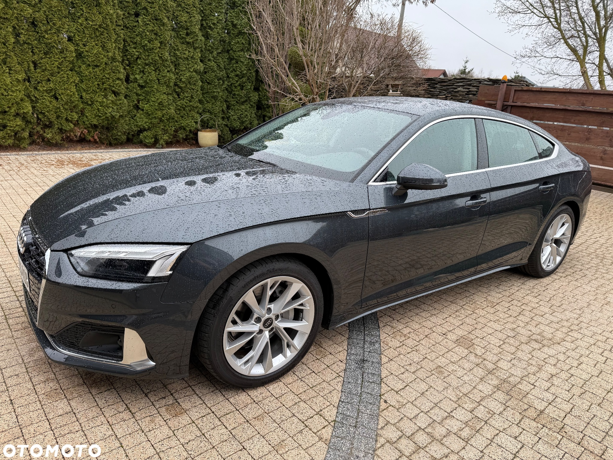 Audi A5 Sportback 40 TDI S tronic - 2