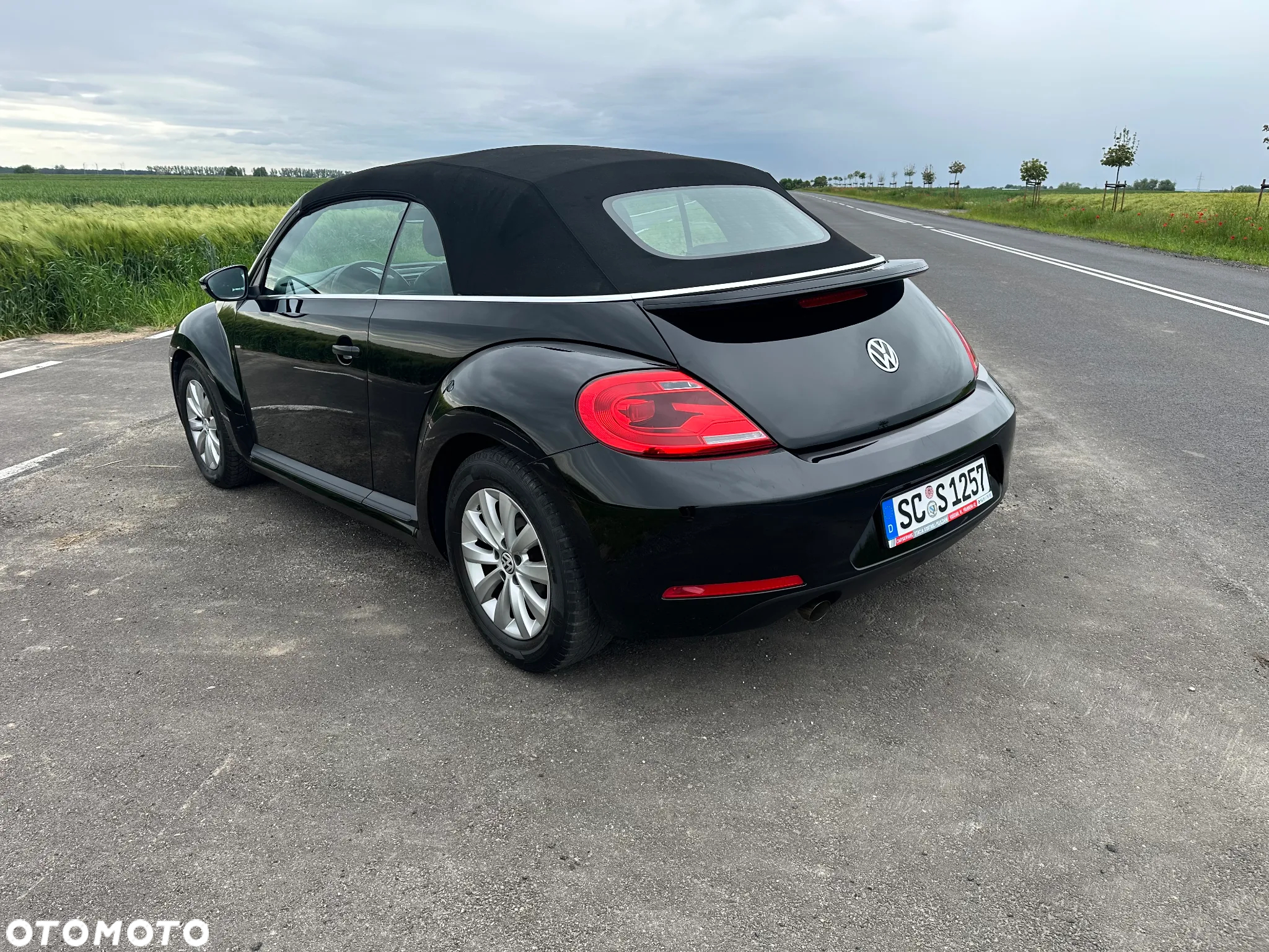 Volkswagen Beetle - 6