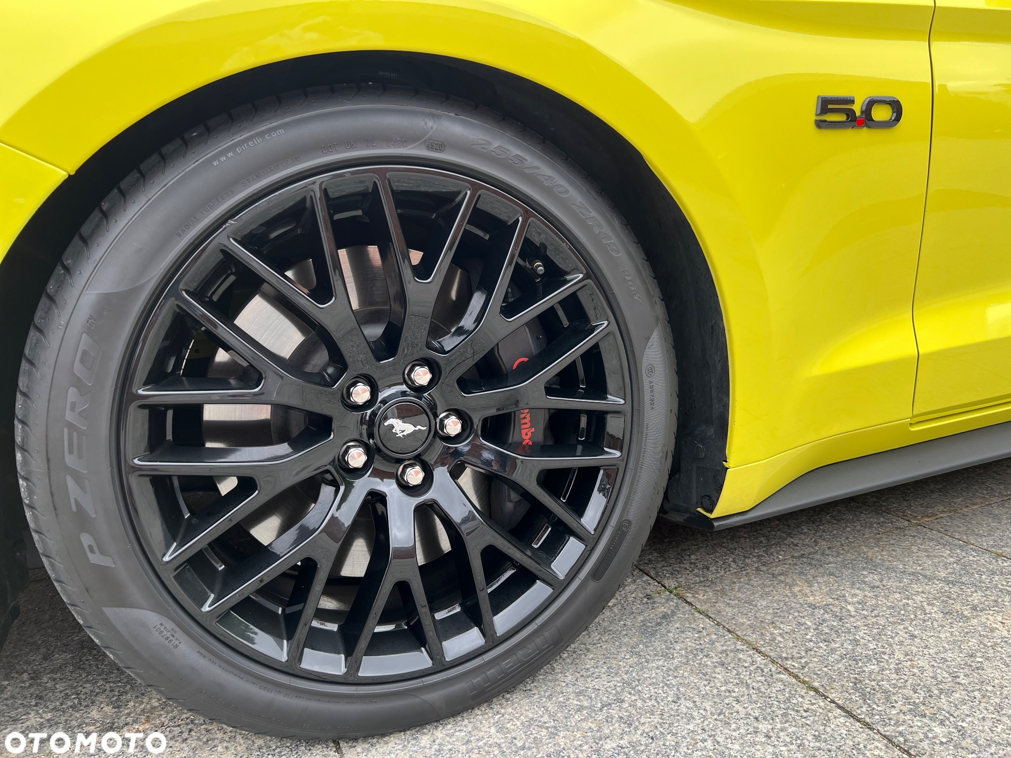 Ford Mustang 5.0 V8 Mach 1 - 10