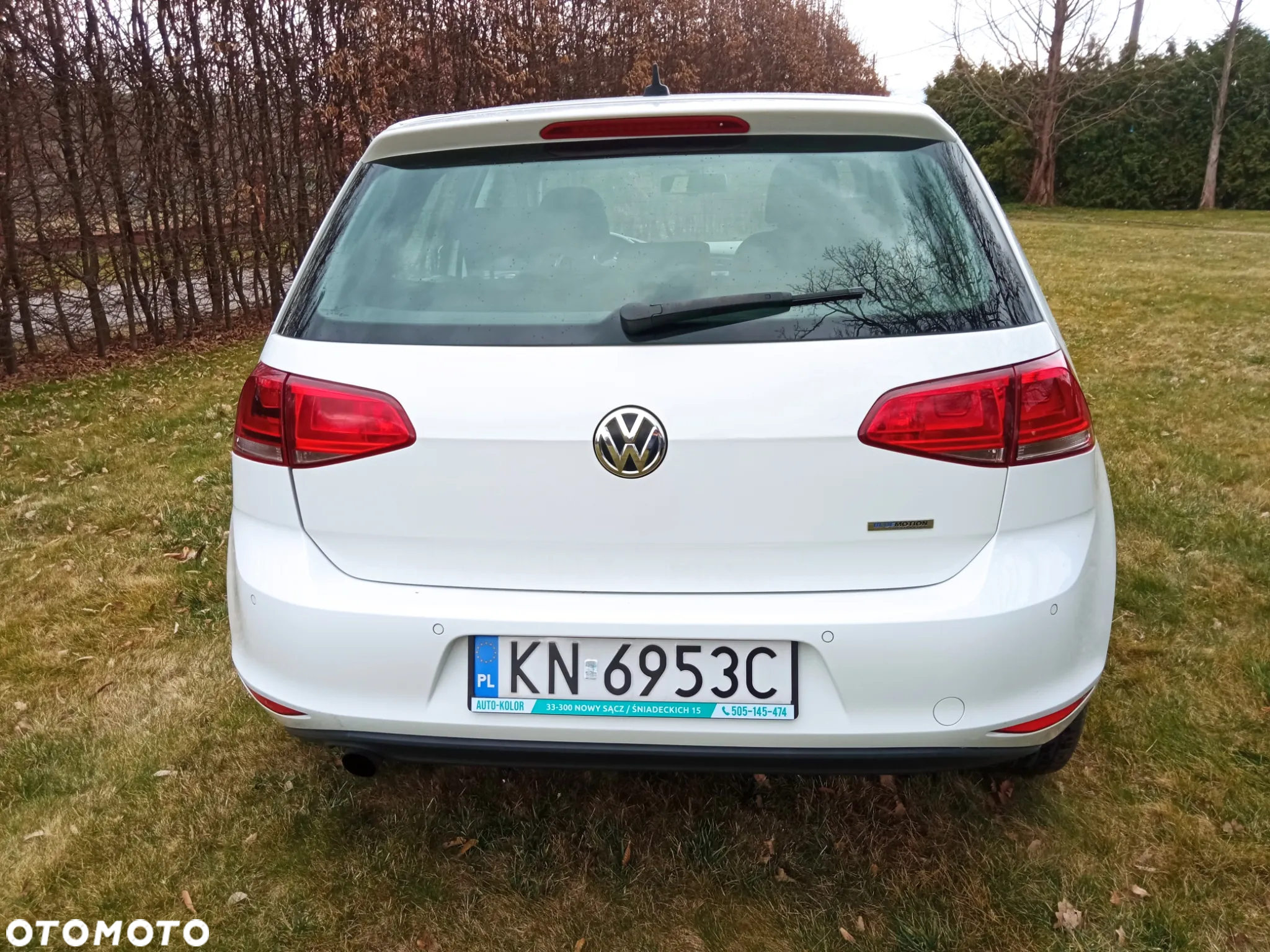 Volkswagen Golf - 4