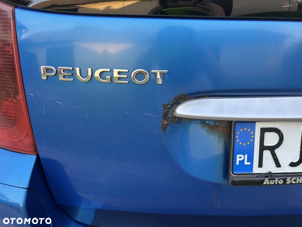 Peugeot 307 - 14