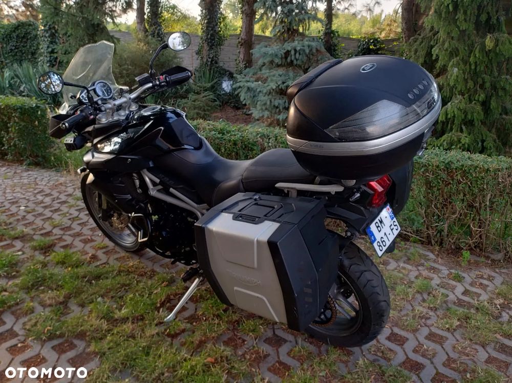 Triumph Tiger - 9