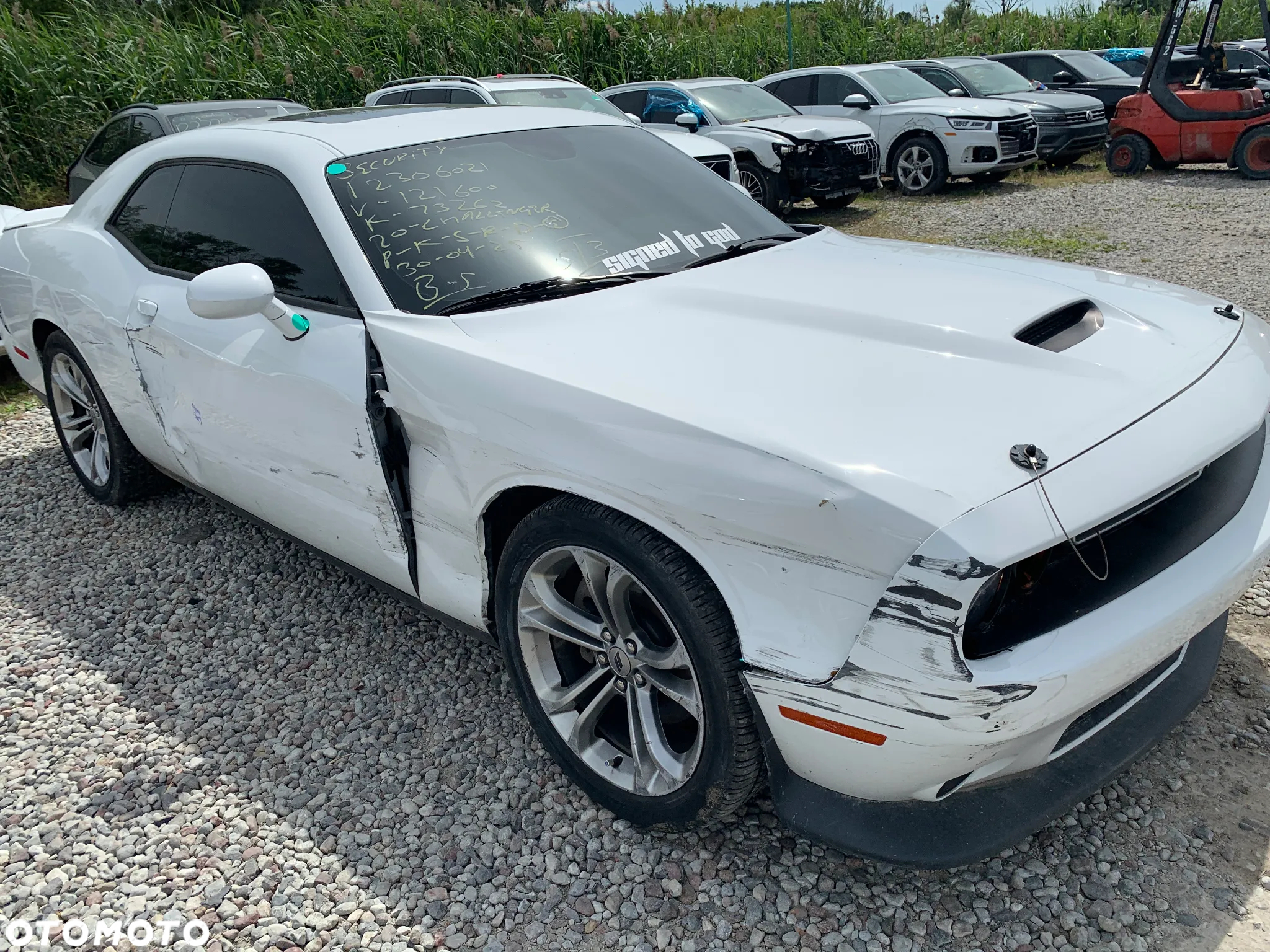 Dodge Challenger Automatik SXT Plus - 5