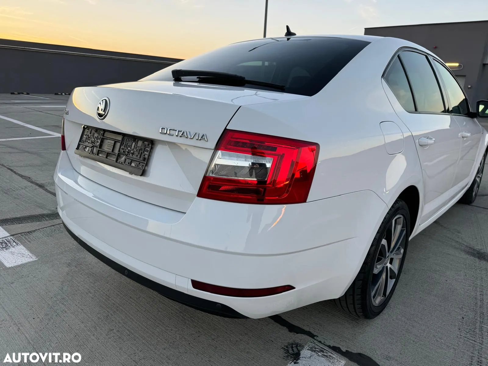 Skoda Octavia - 29