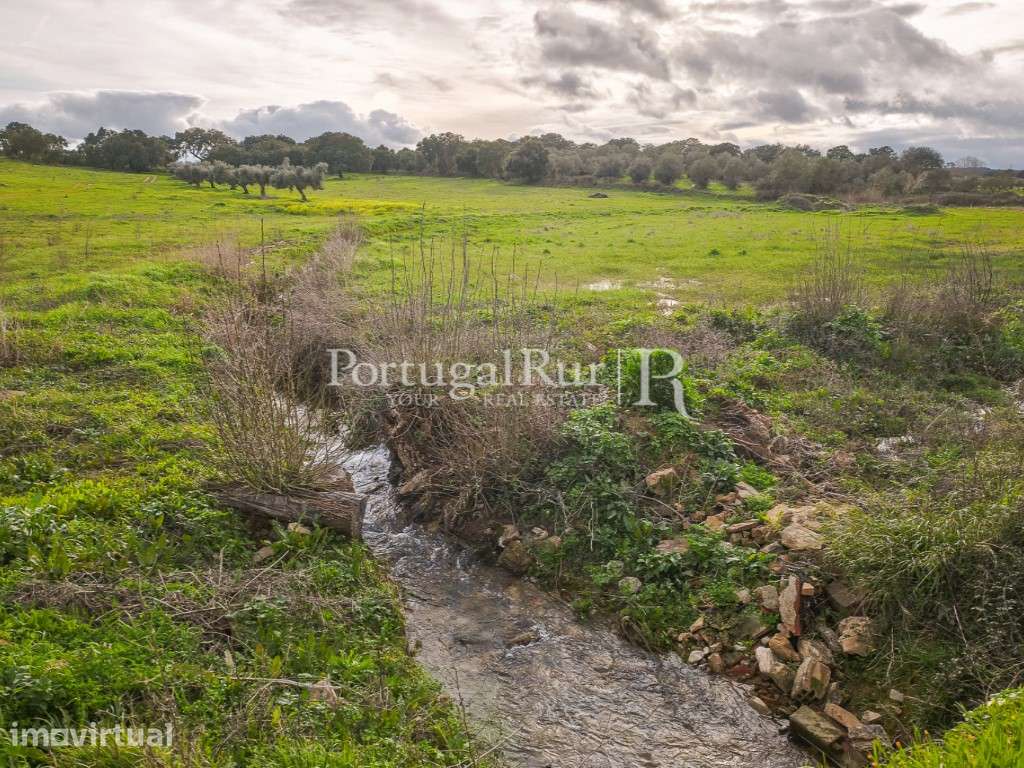 Terreno de 4,5 ha com licença para construção em Elvas - Grande imagem: 2/18