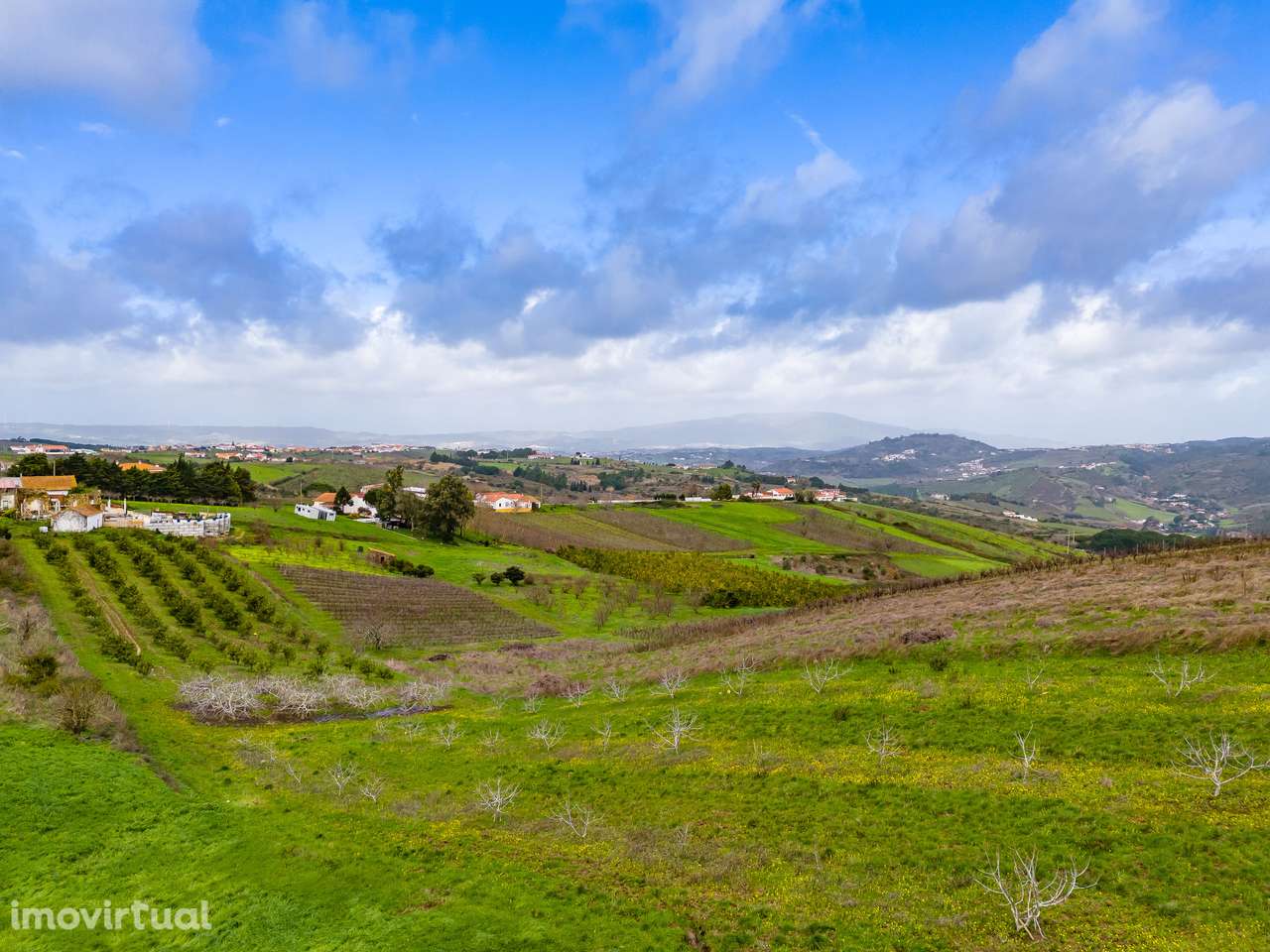 TERRENO RÚSTICO | 6.640M2 | QUINTA DO PIPALETE | ALENQUER - Grande imagem: 3/39