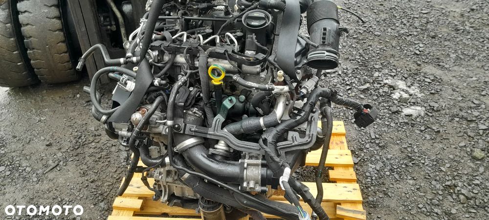 SILNIK SEAT SKODA AUDI VW POLO V 1.4 TDI SILNIK CUS - 1