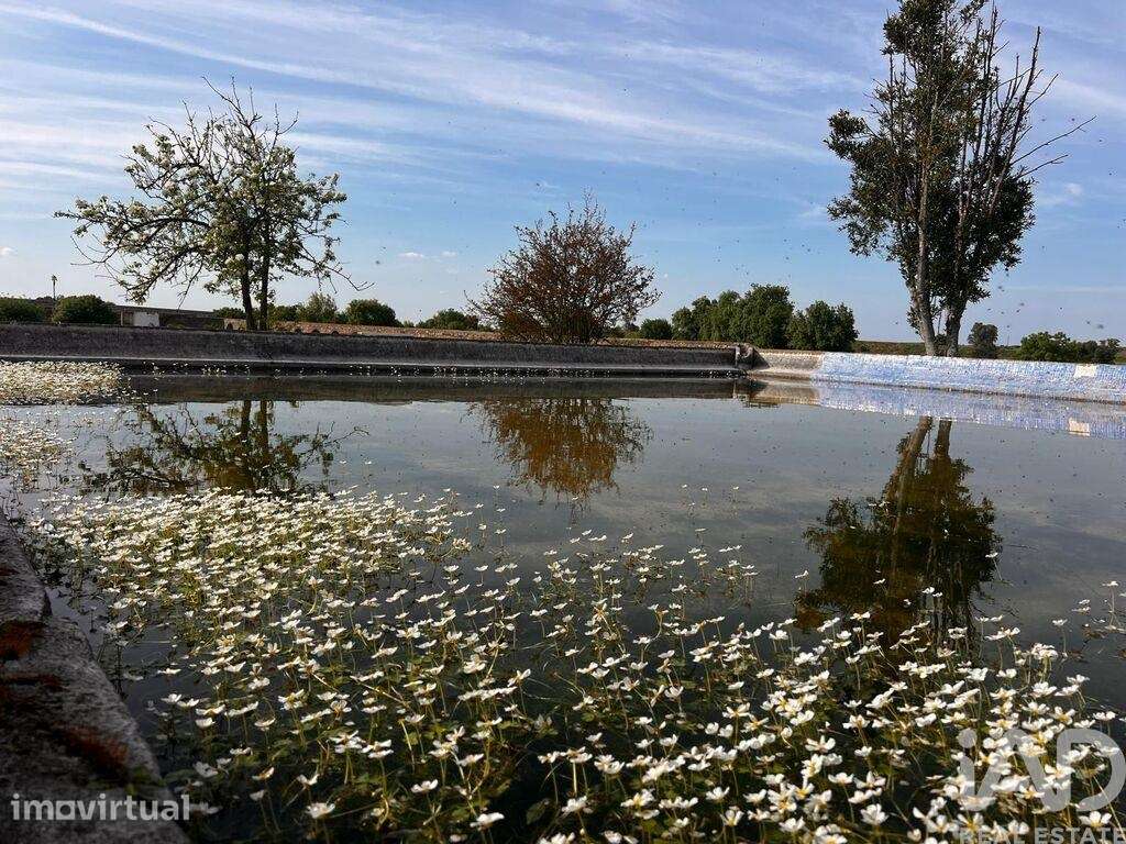 Quinta rural em Viana do Alentejo de 155 m2 - Grande imagem: 4/40