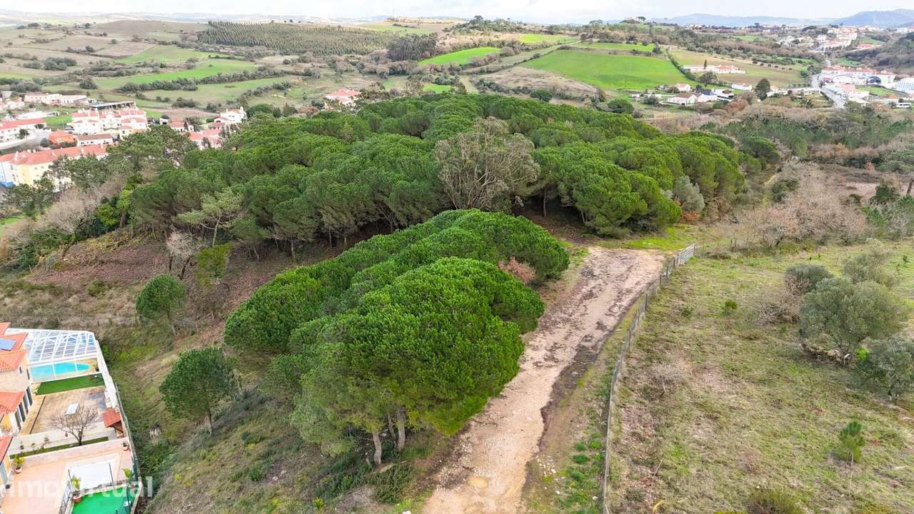Terreno com 34.000 m2 na Venda do Pinheiro | Potencial para Moradia at - Grande imagem: 4/7