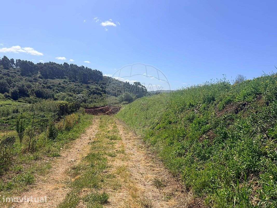 Terreno  para venda - Grande imagem: 4/6