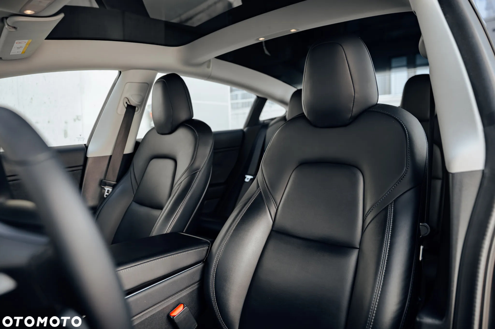 Tesla Model 3 Standard Reichweite Plus Hinterradantrieb - 12