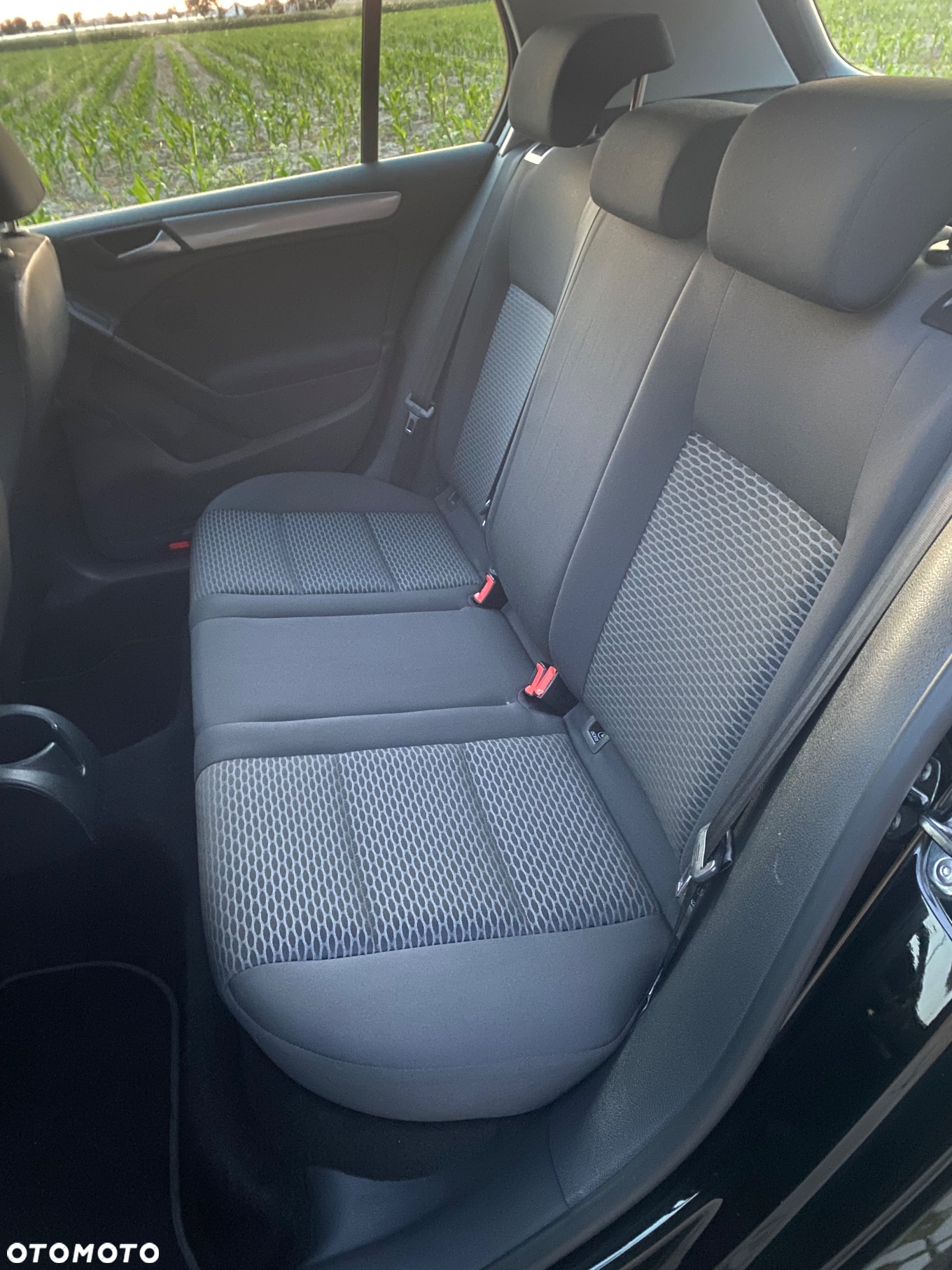 Volkswagen Golf - 14