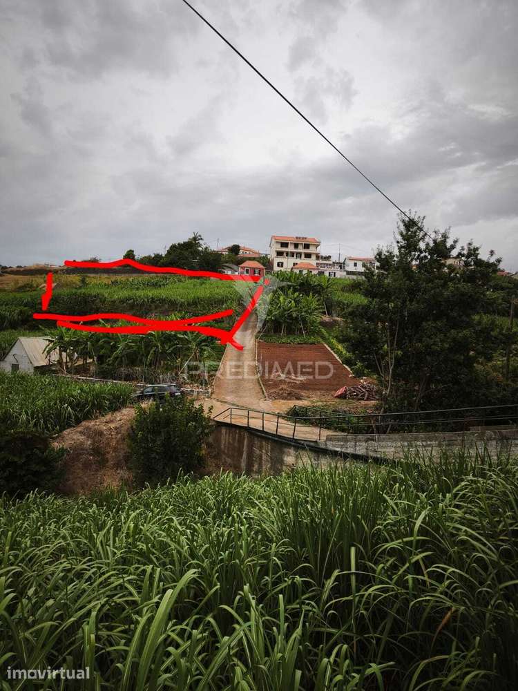 VENDO TERRENO PONTA DO SOL | 900 m² | VISTA MAR - Grande imagem: 5/6