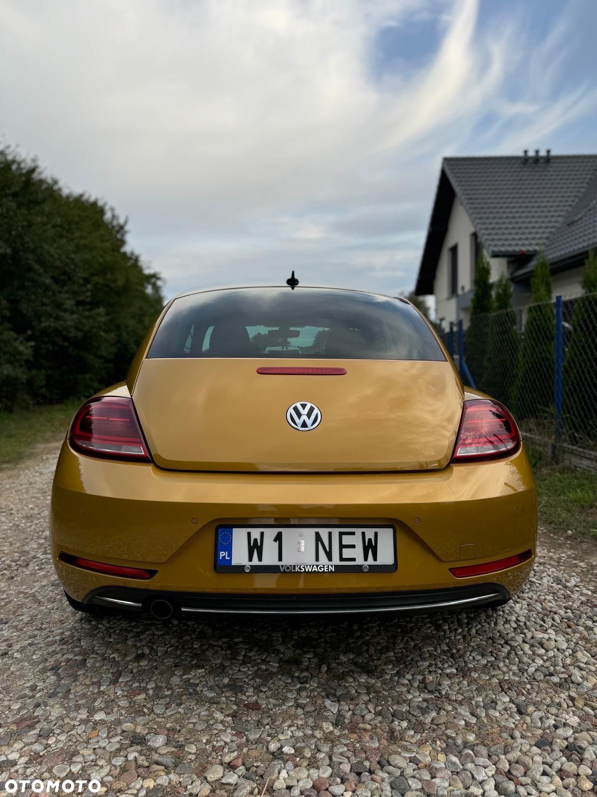 Volkswagen Beetle - 7
