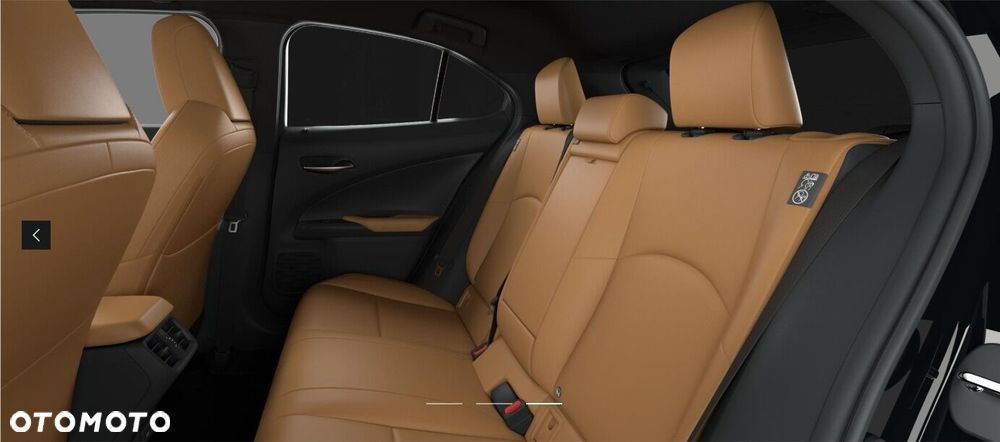 Lexus UX 300h F Sport Design - 2