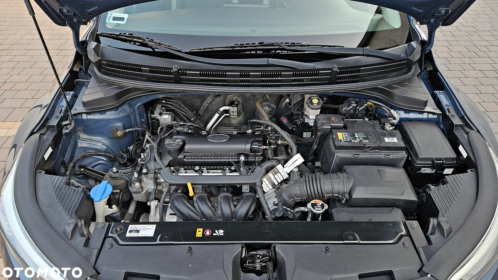 Kia Stonic - 39