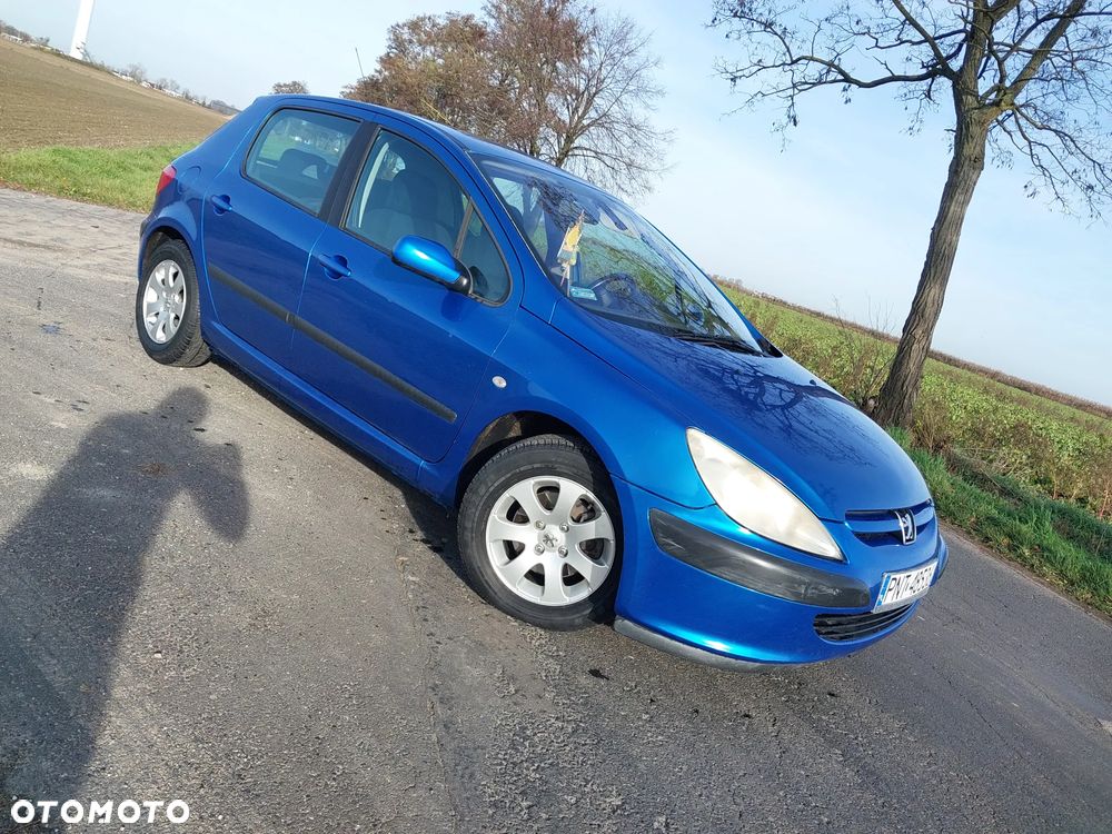 Peugeot 307 1.6 - 1