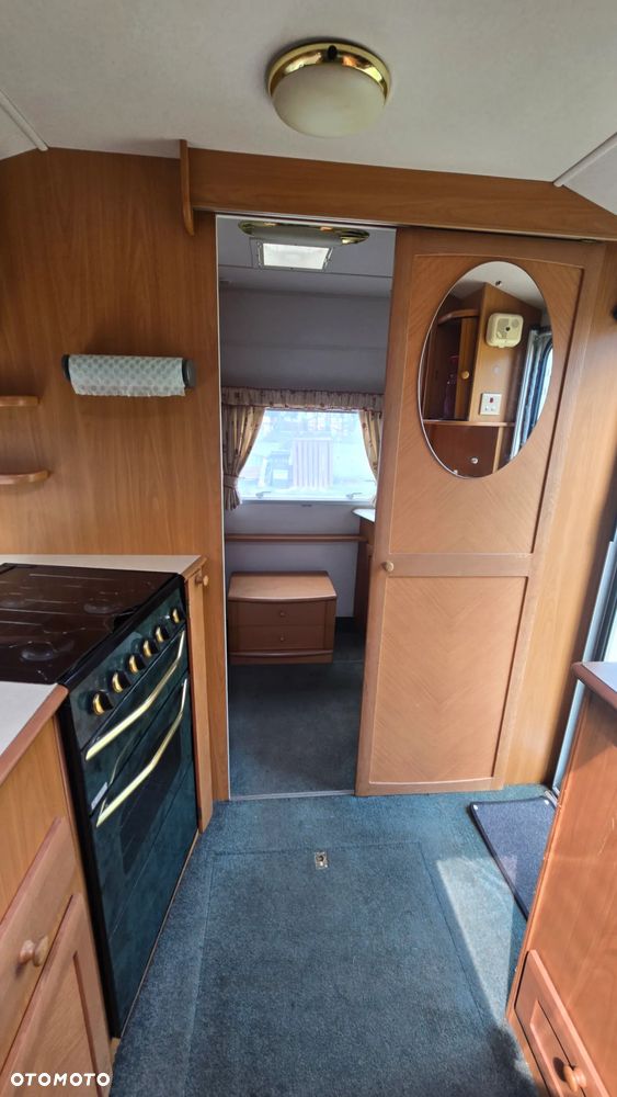 Avondale Avocet Golden - 9