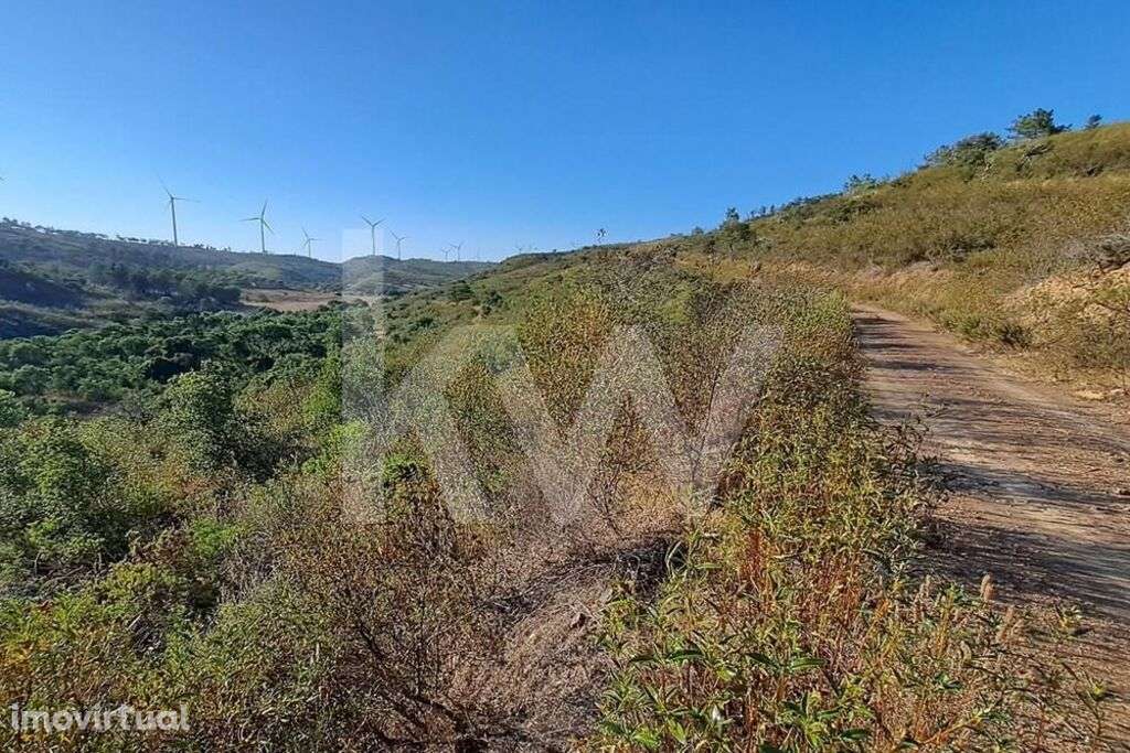 Terreno Rústico com Barragem e 63ha sito na Vinha Velha - Grande imagem: 4/7