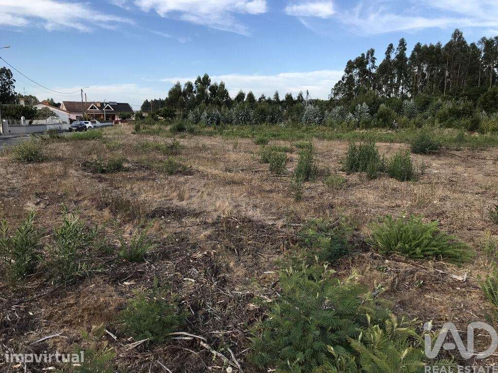 Terreno para construção em Ovar, São João, Arada e São Vicente de Pere - Grande imagem: 5/27