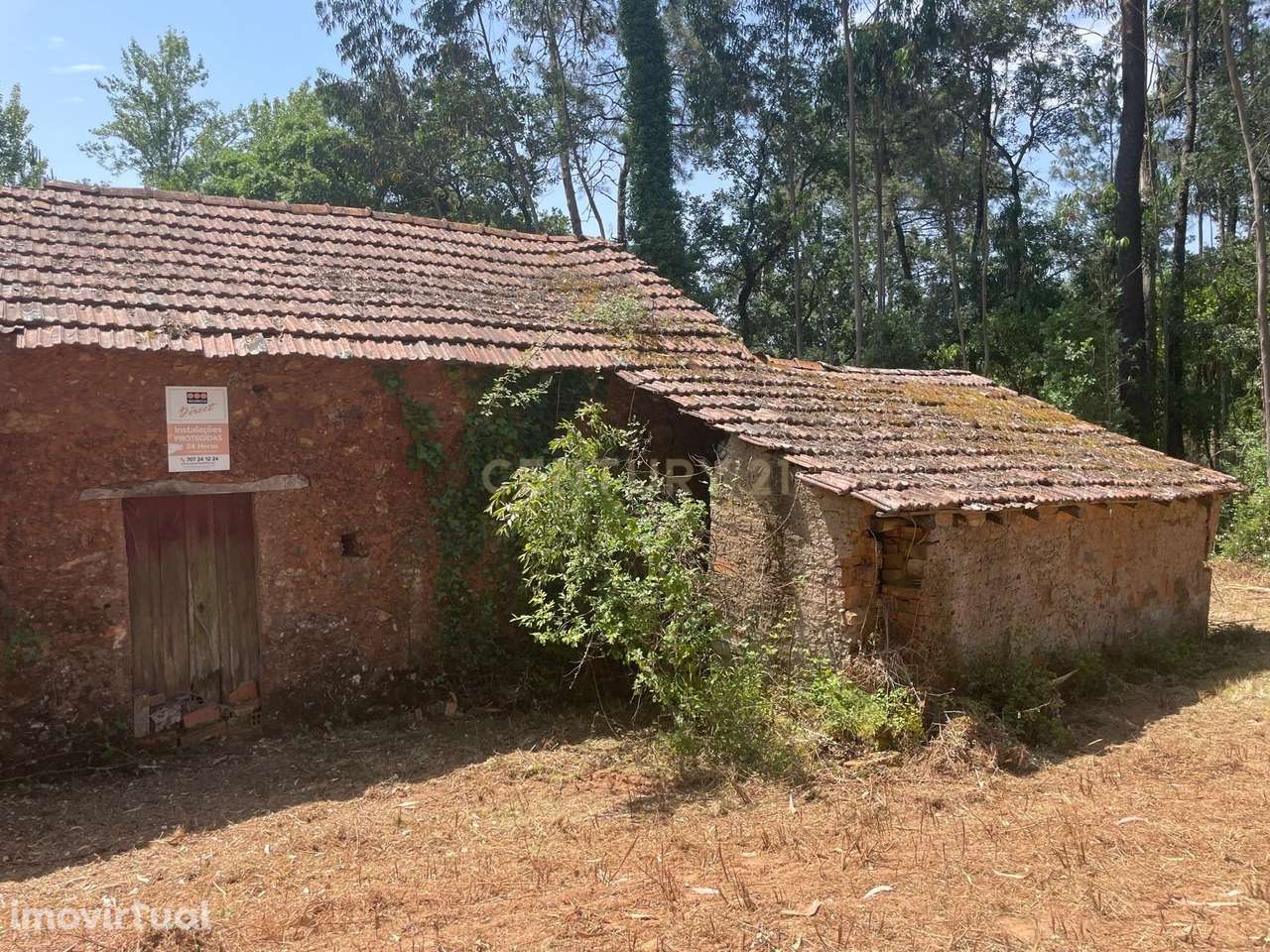 Moradia Térrea para Recuperar com Terreno de aproximadamente 1.600 m² - Grande imagem: 3/10