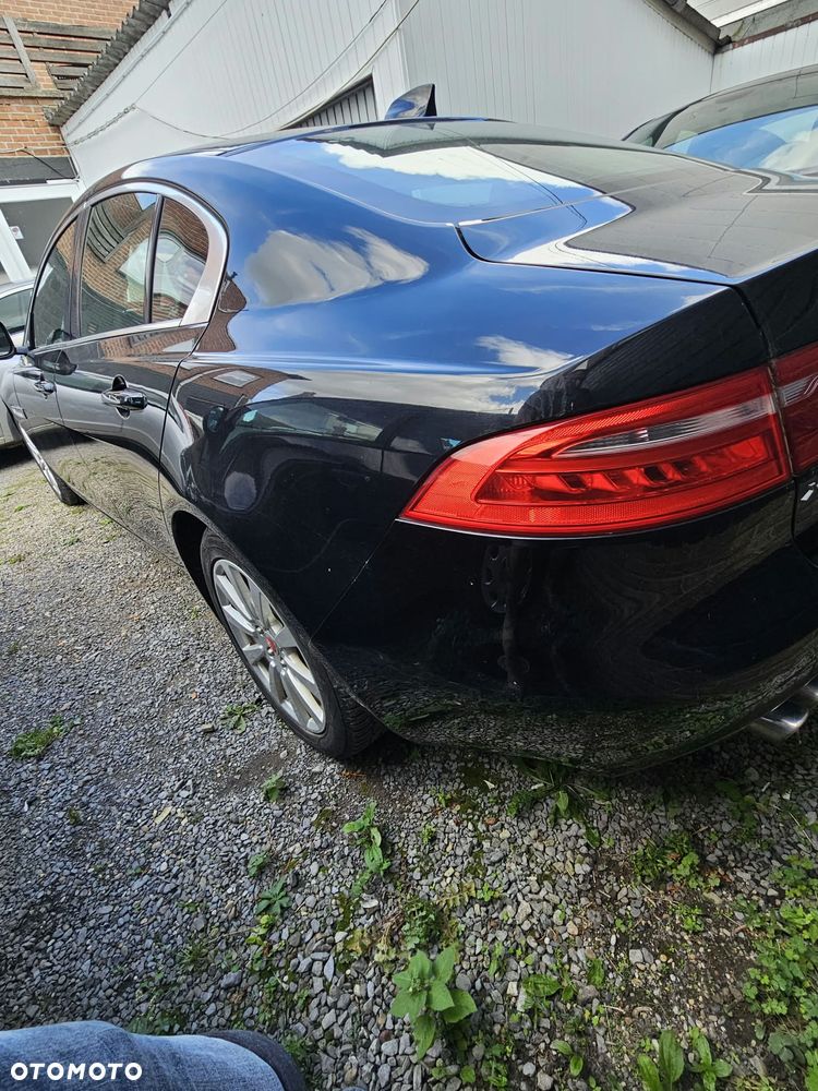 Jaguar XE - 7