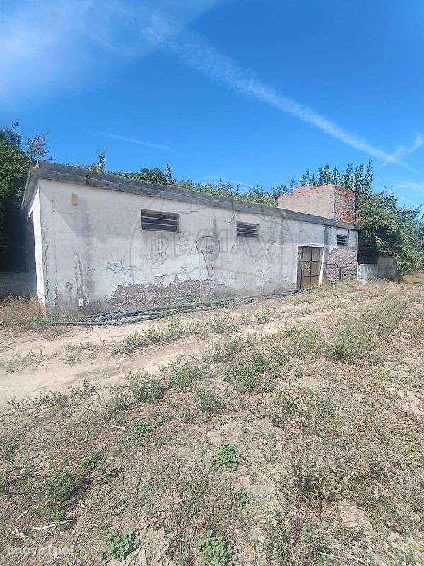 Arrecadação  para venda - Grande imagem: 2/5