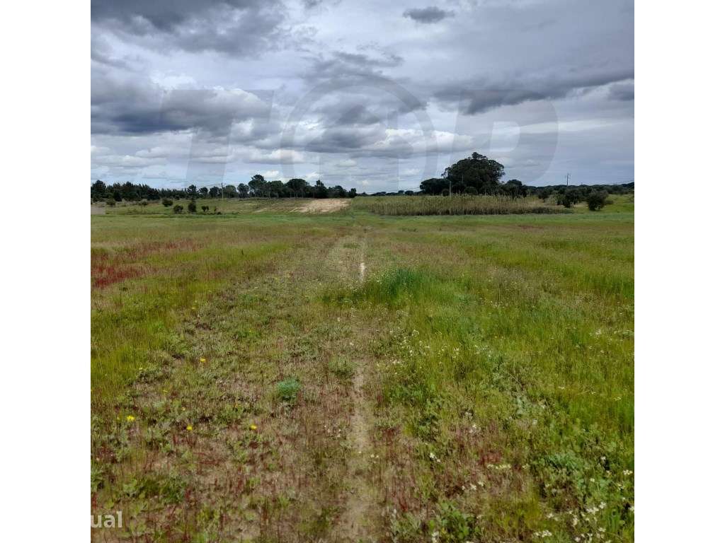 Terreno Agrícola - Foros da Charneca - 50.000€ - Grande imagem: 2/16