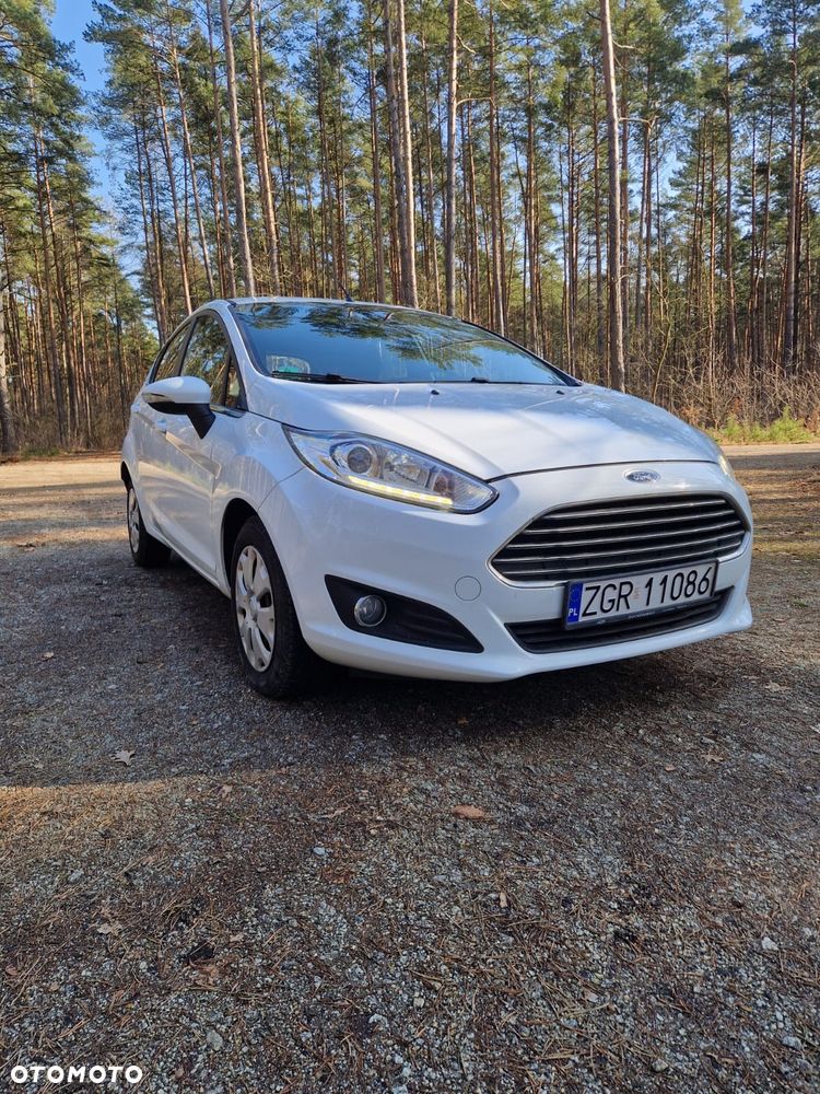 Ford Fiesta - 1