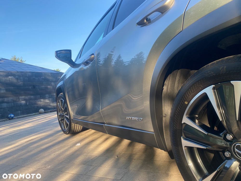 Lexus UX 250h GPF Business Edition 2WD - 20