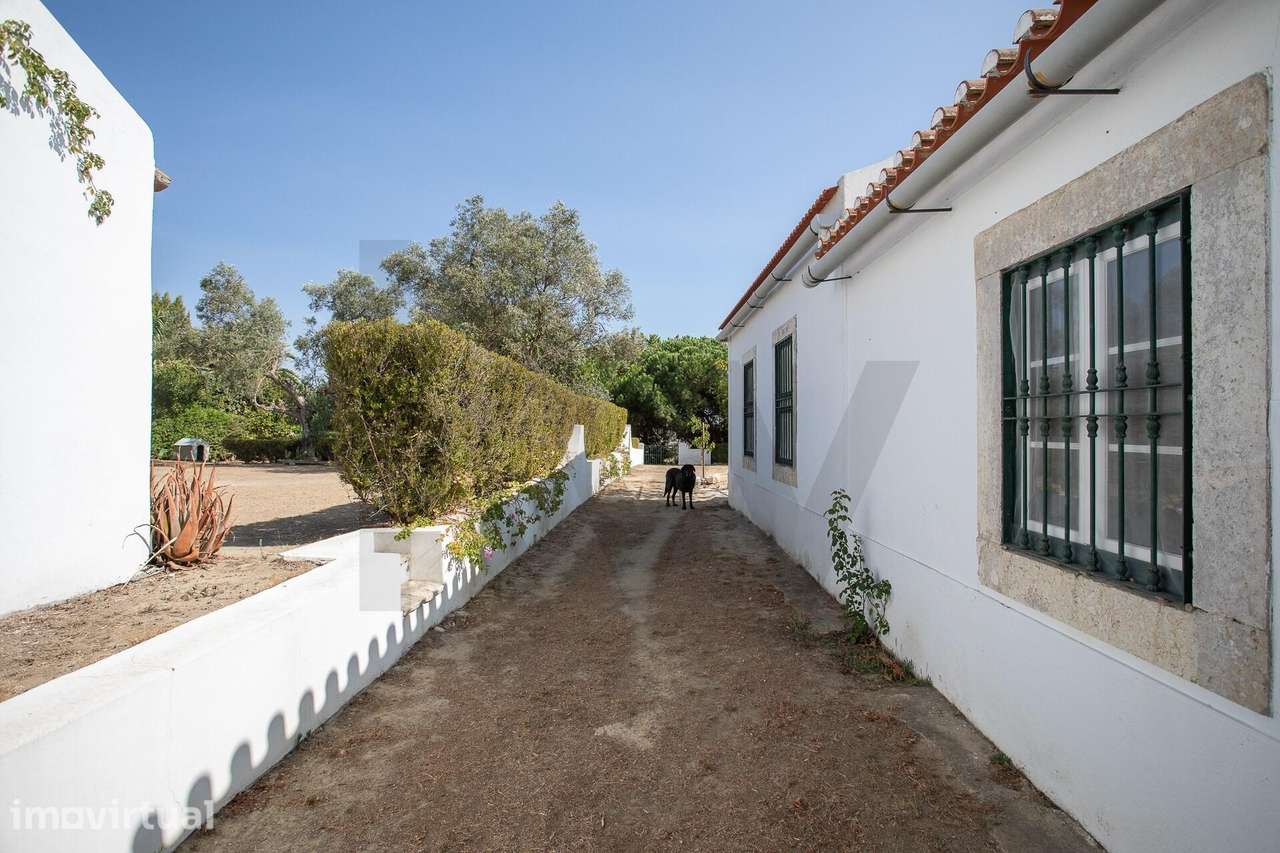 Quinta na freguesia da Trafaria - Grande imagem: 2/60