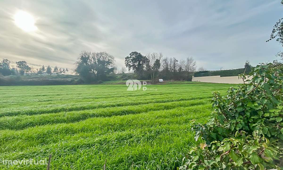 Terreno 10.000m² - Lemenhe - Grande imagem: 3/12