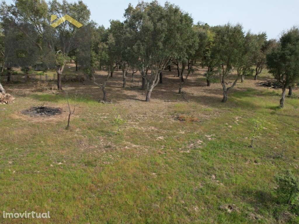 Quinta com 2,1 hectares em Castelo Branco - Grande imagem: 5/12