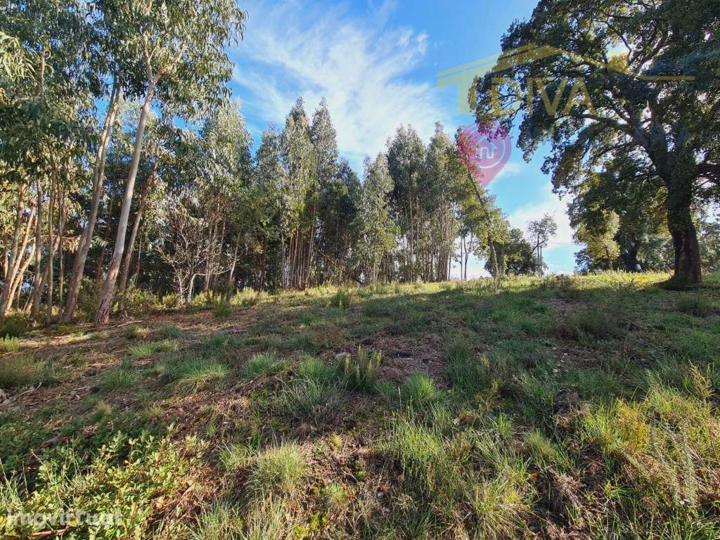 Terreno para construção de moradia em Figueiró dos Vinhos - Grande imagem: 3/18