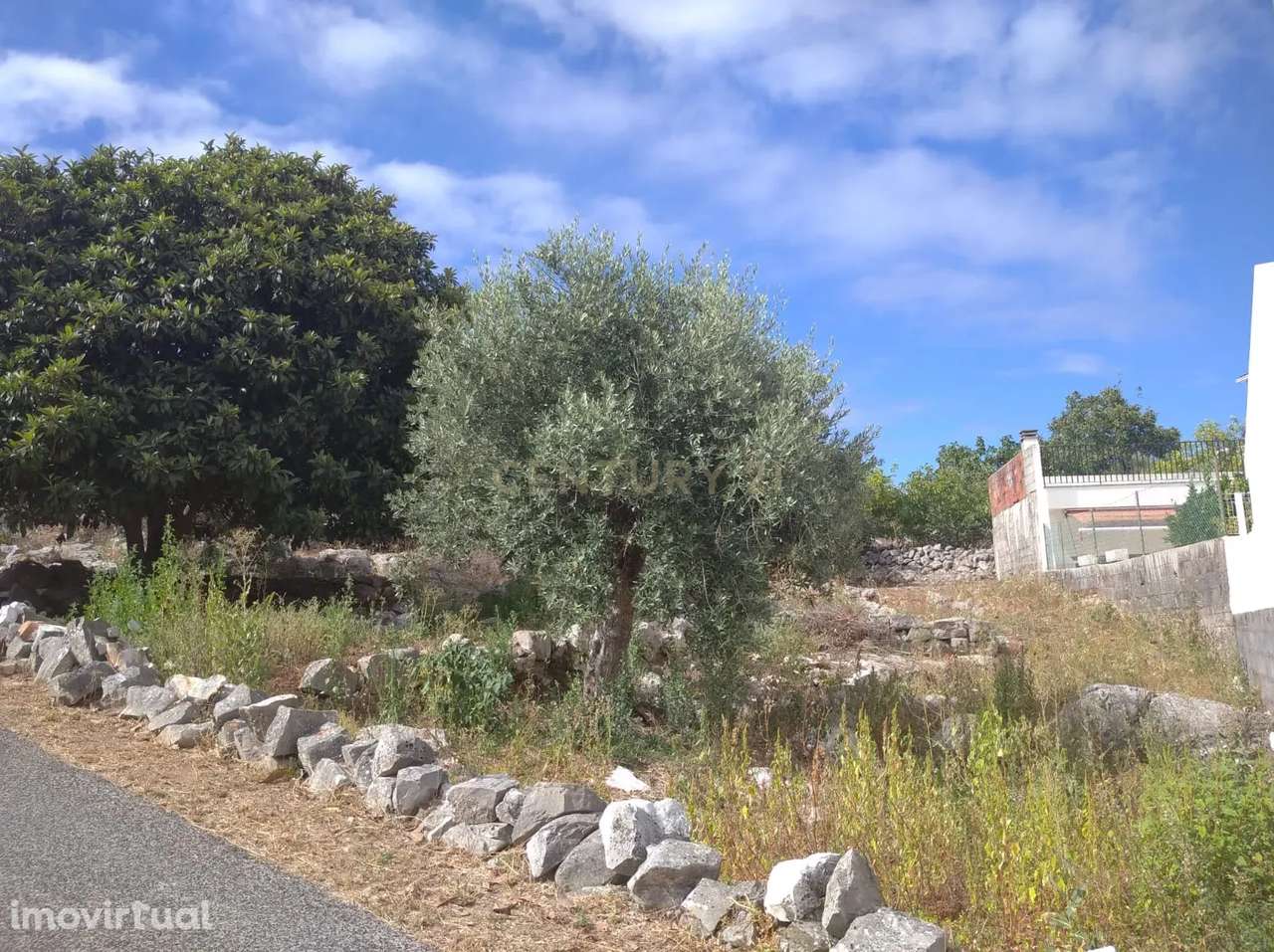 Terreno Urbanizável em Mira de Aire - Localização Privilegiada e Tranq - Grande imagem: 2/5