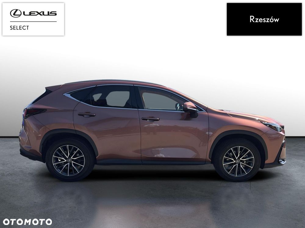 Lexus NX 350h Prestige AWD - 6