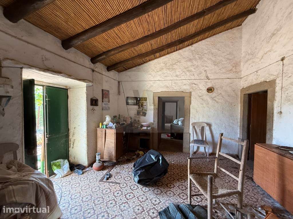 Quinta Centenária com Potencial para Turismo Rural - Grande imagem: 5/30