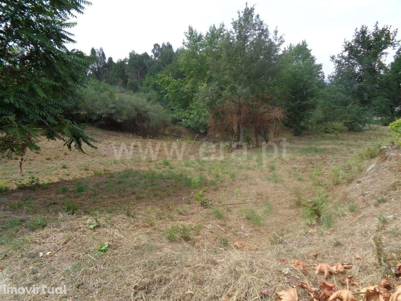 Terreno Rústico / Marco de Canaveses, Banho e Carvalhosa - Grande imagem: 5/6