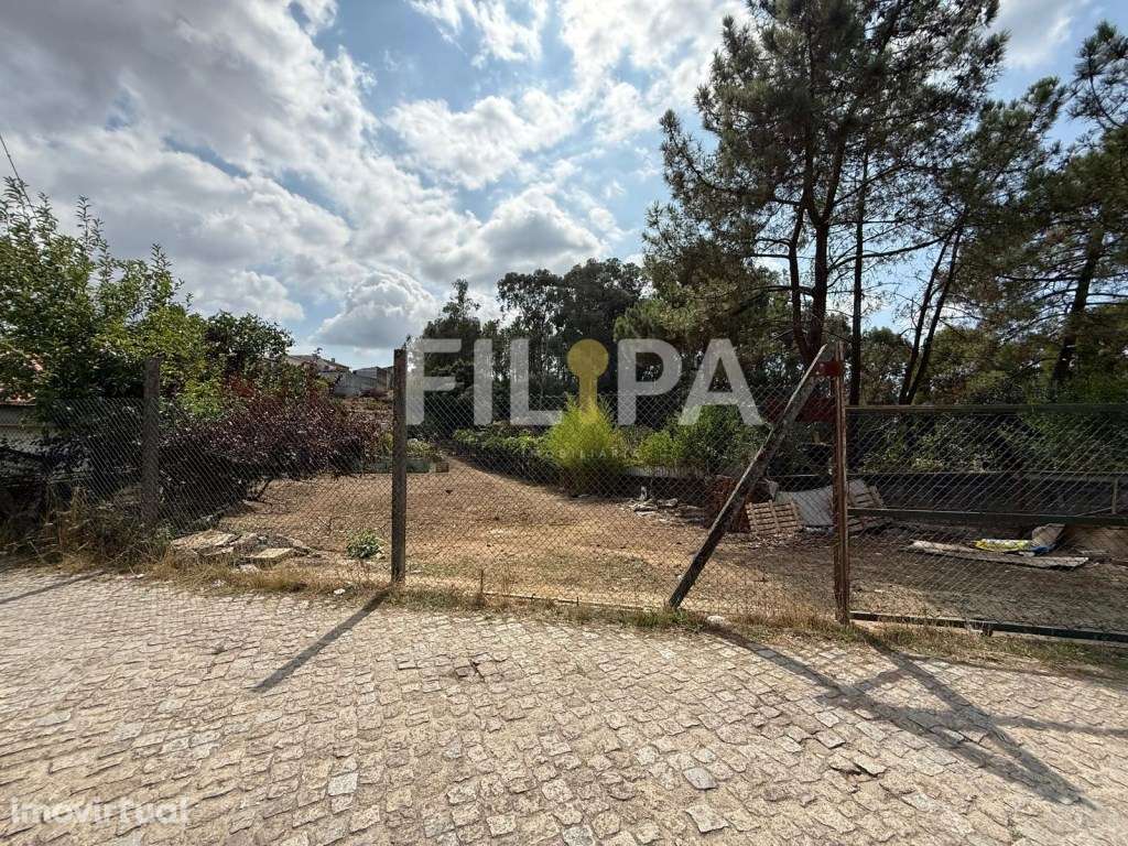 Terreno rústico em Campo - Valongo - Grande imagem: 4/7