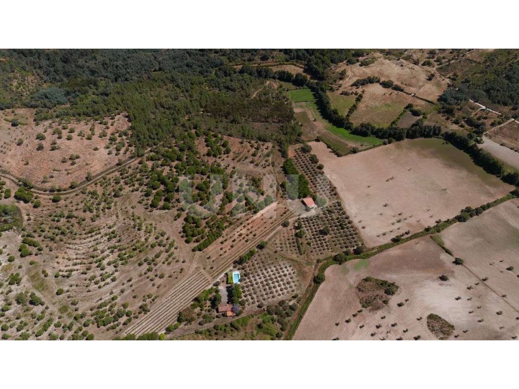 Herdade com 34 Hectares - Grande imagem: 5/39