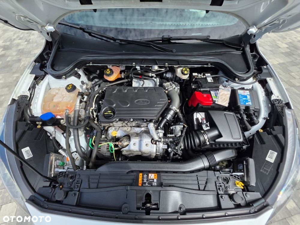 Ford Focus - 30
