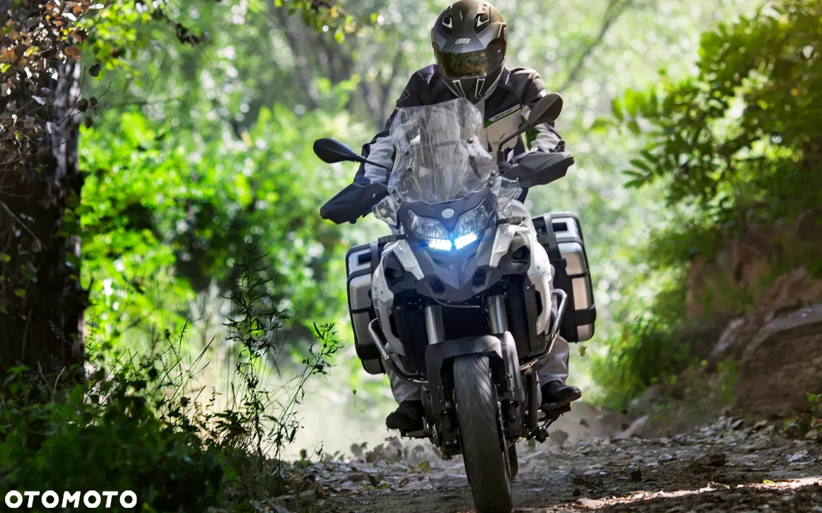 Benelli TRK 502 - 5