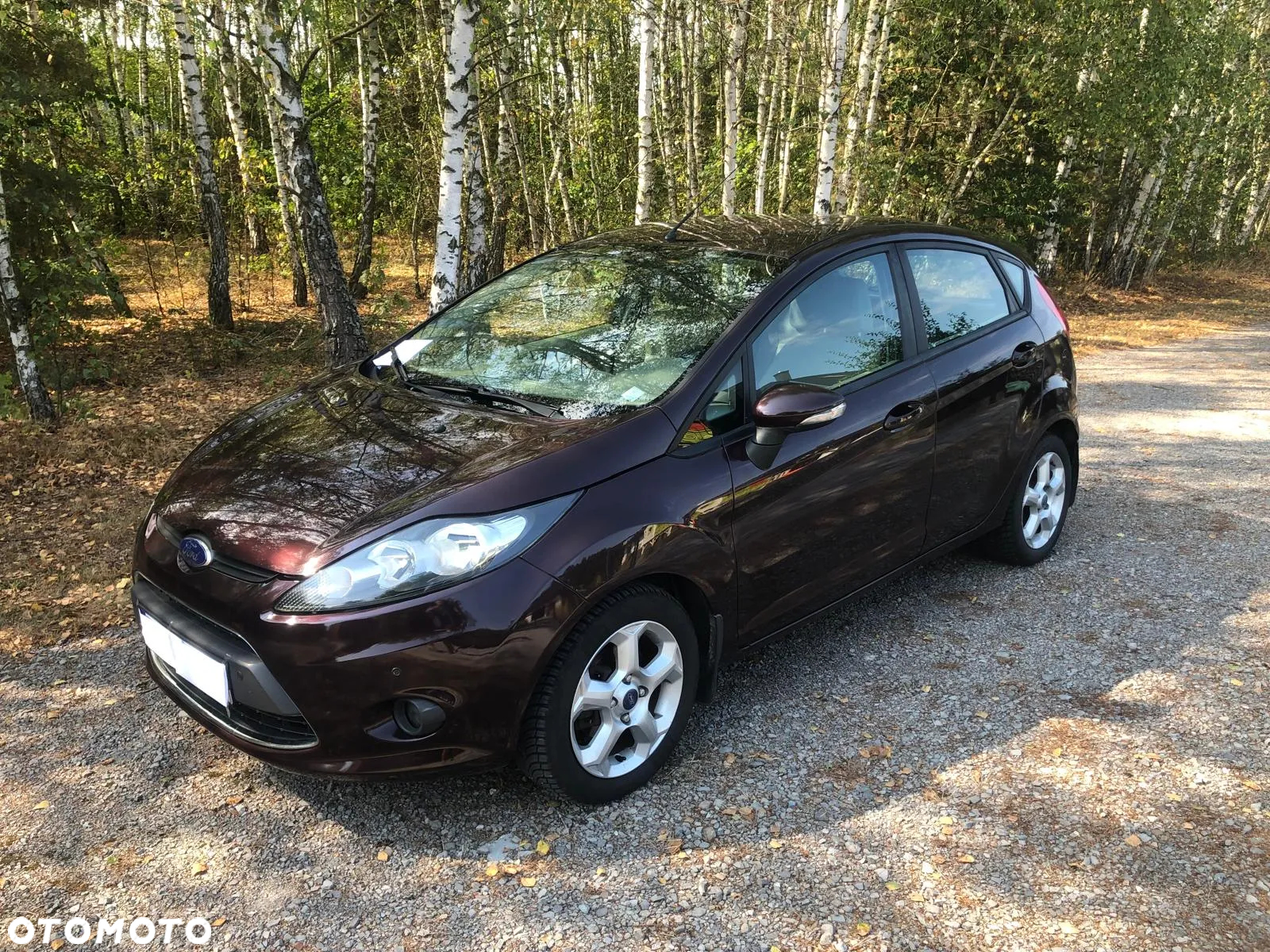 Ford Fiesta 1.25 Gold X EU5 - 5