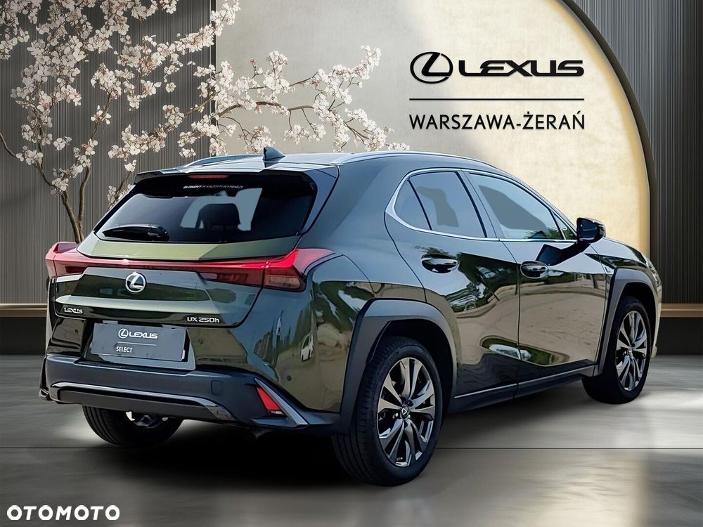 Lexus UX 250h GPF F Sport Design 2WD - 7