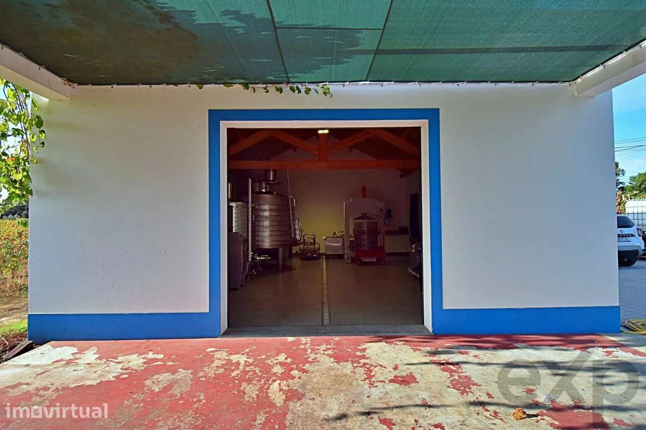 Adega com certificado de Vinho de Denominação de Origem Controlada - A - Grande imagem: 3/14