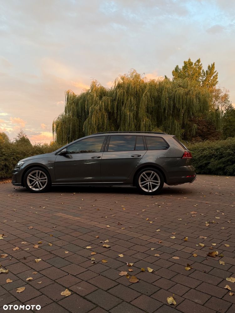 Volkswagen Golf - 19